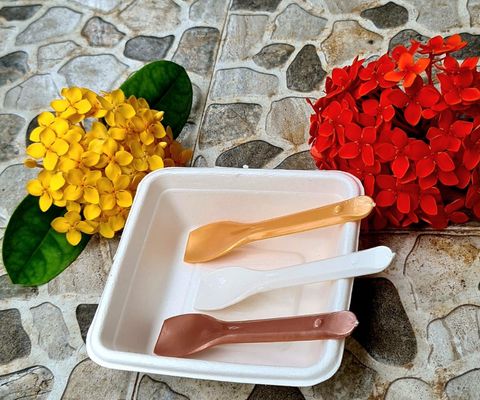 Disposable Ice-cream Spoon