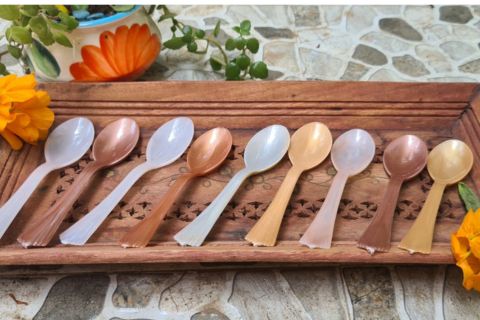 Disposable Dinning Spoon