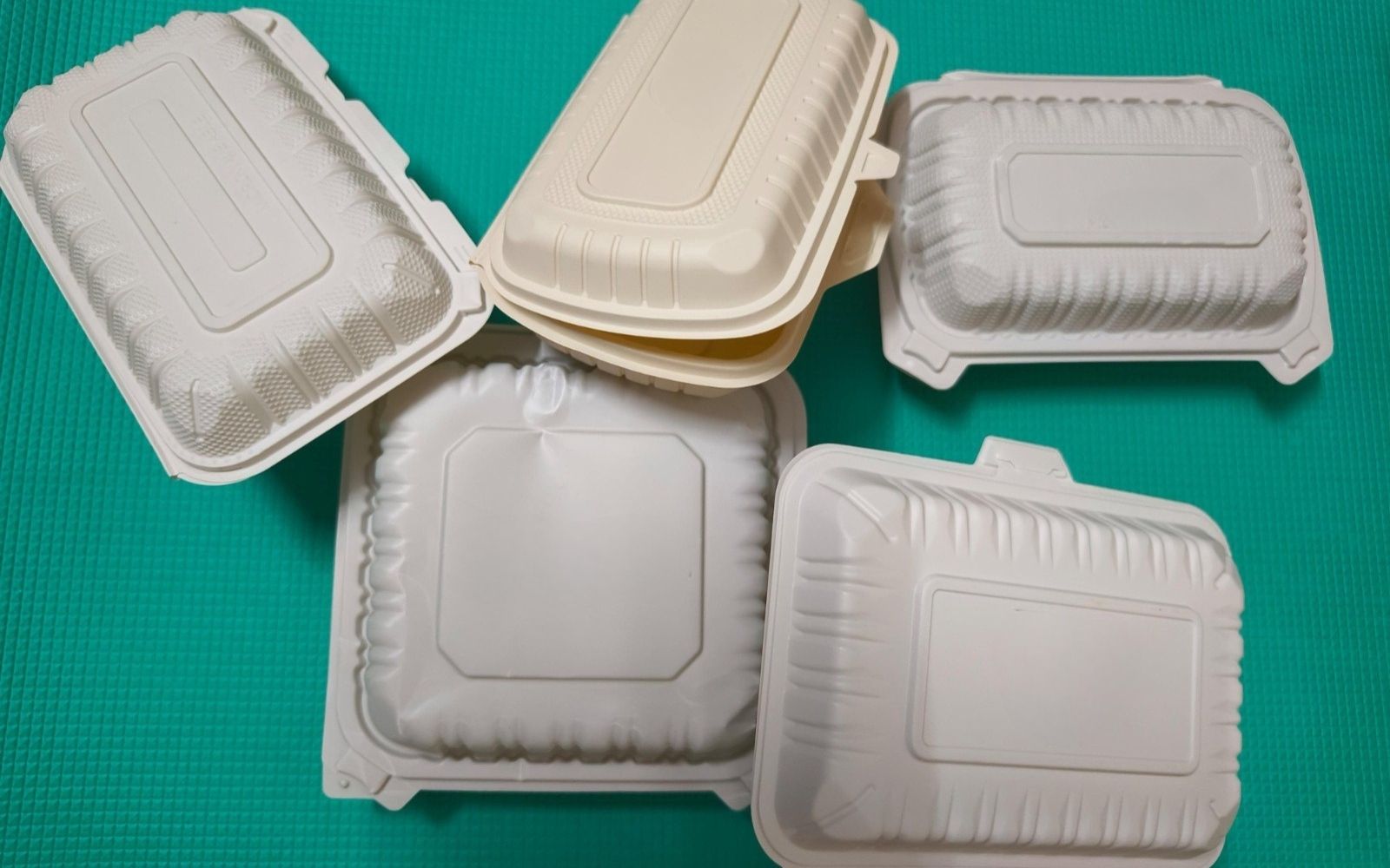 Disposable Food Container
