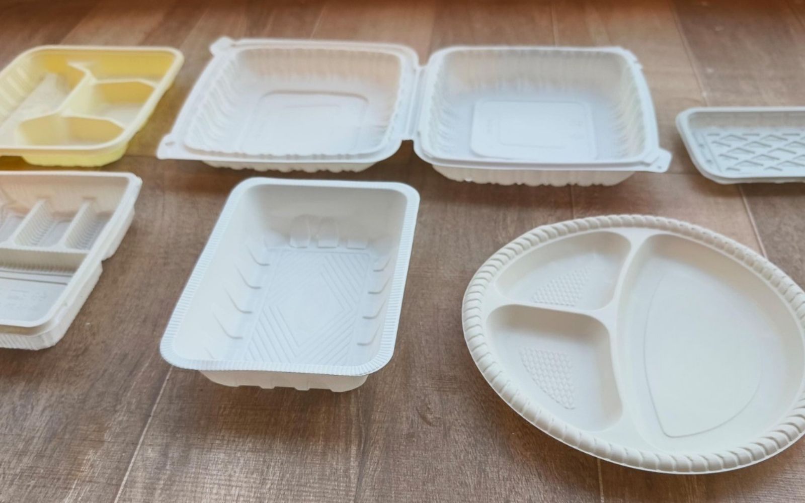 Disposable Food Container