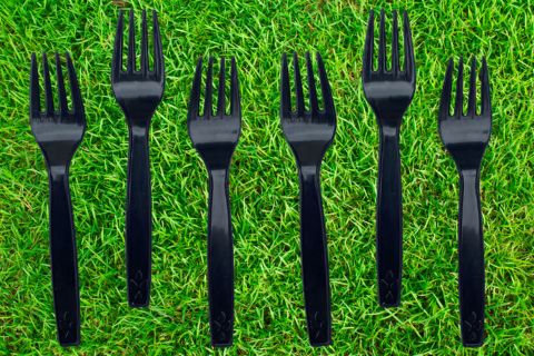 Disposable Fork