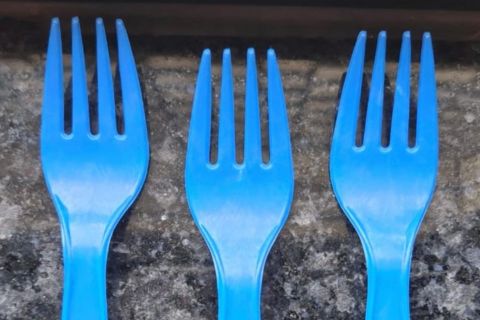 Disposable Fork