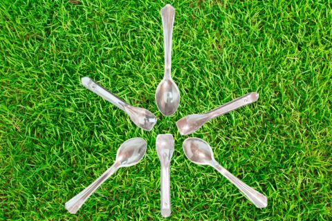 Disposable Ice-cream Spoon